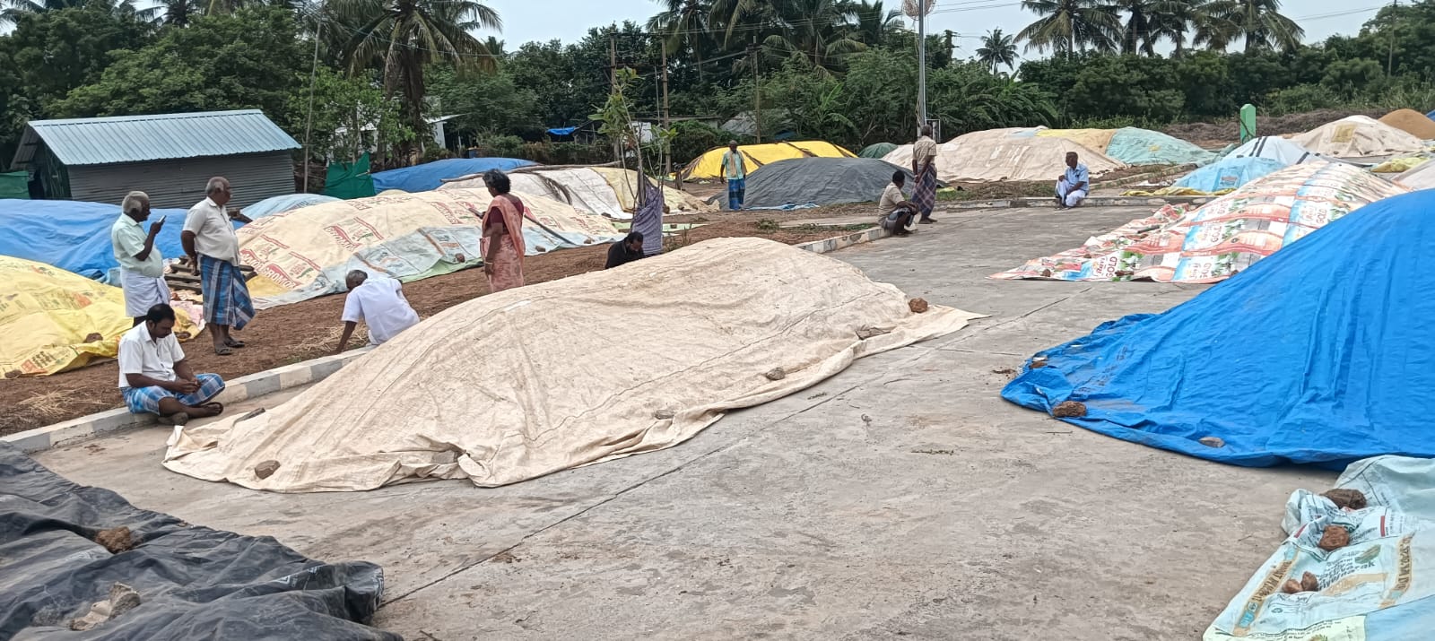 வள்ளலார் வாழ்ந்த மண்ணில்; வேதனையில் விவசாயிகள்: கருங்குழியில் நேரடி நெல் கொள்முதல் நிலையத்தில் பத்தாயிரத்திற்கும் மேற்பட்ட நெல் முட்டைகள் தேங்கி நிற்கும் அவலம்
