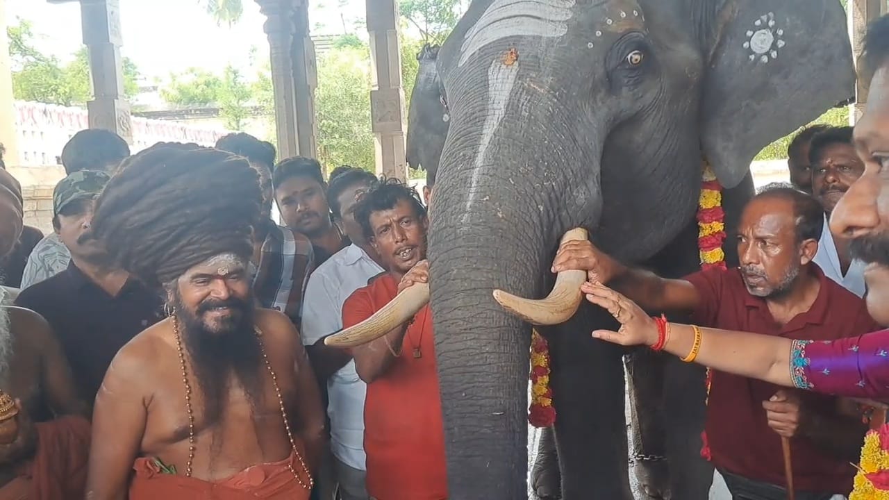 சீர்காழி அருகே வைத்தீஸ்வரன் கோயில் வைத்தியநாதர் சுவாமி கோவிலுக்கு புதிய ஆண் யானை வருகை சிறப்பு பூஜைகள்